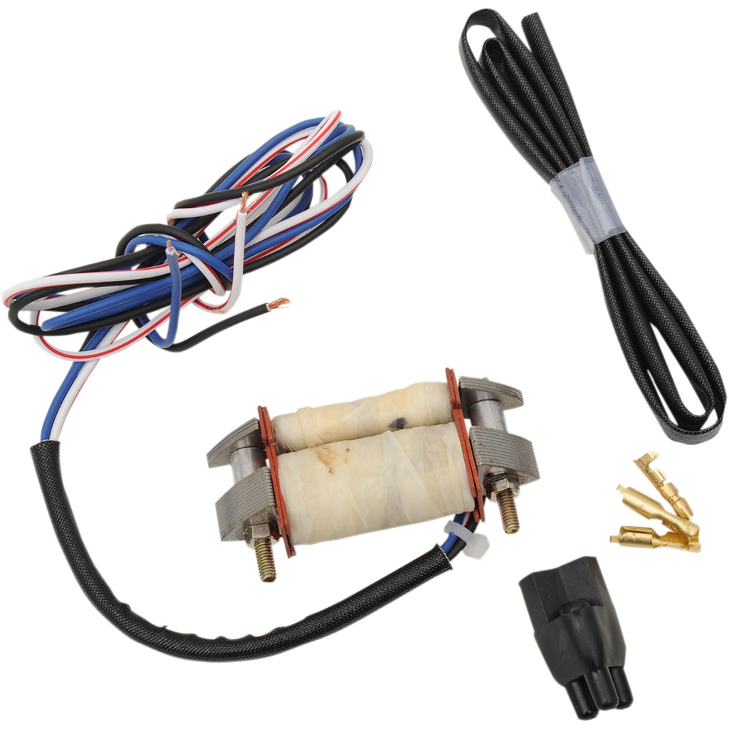 Rick's Motorsport Electrical System Kit Parts Giant