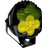 Black with Yellow Lens