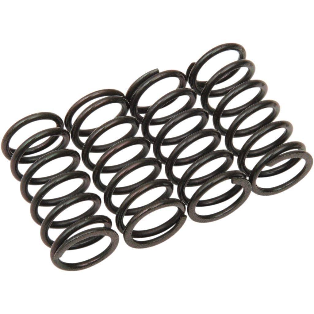 spring Buy Extra Heavy Duty (EHD) 'Real Street' Clutch Springs ZX-14R (12