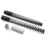 Progressive Fork Spring Kit - Parts Giant