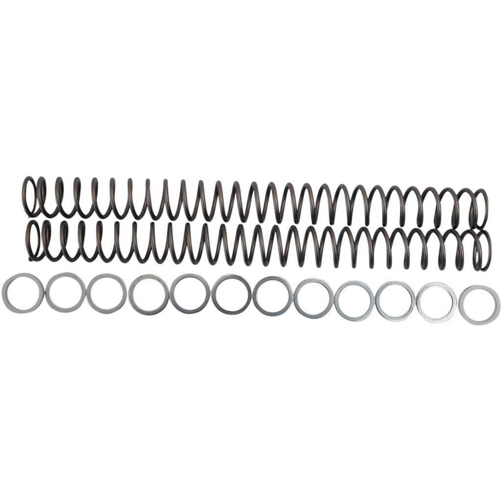 race tech fork springs
