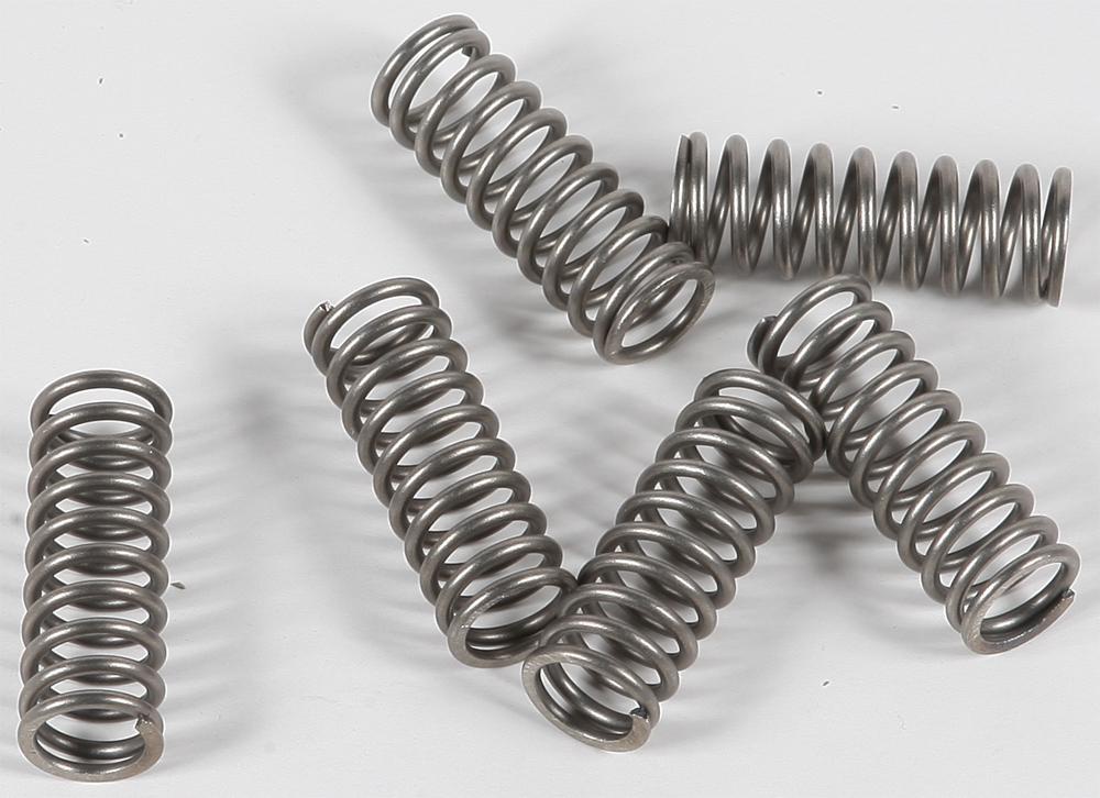 EBC CSK Clutch Springs - Parts Giant