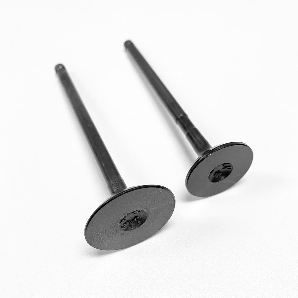 Shindy Intake/Exhaust Valve Set Parts Giant